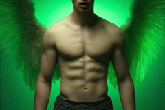 Male Angels from Above,handsome & sexy men,fantasy wings,brought to life through the magic of AI