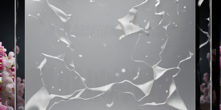 Amazing Graphics Art Collection: Digital Art Overlays - Picture Fame Overlays,glossy glass frames with center effects