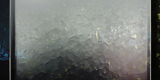 Amazing Graphics Art Collection: Digital Art Overlays - Picture Fame Overlays,glossy glass frames with center effects