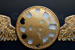 Logo Artist Pallet Winged Design: Amazing Digital Graphics Art Collection