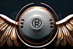 Logo Specialized Winged Design: Amazing Digital Graphics Art Collection