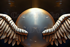 Logo Specialized Winged Design: Amazing Digital Graphics Art Collection