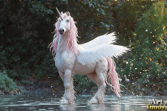 Unicorns, the Myth the Legend, the Fantasy Flying Horse.