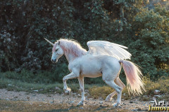 Unicorns, the Myth the Legend, the Fantasy Flying Horse.