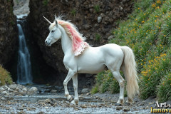 Unicorns,the Myth the Legend,the Fantasy Flying Horse.