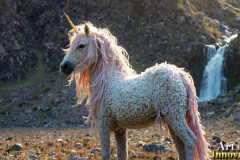 Unicorns,the Myth the Legend,the Fantasy Flying Horse.