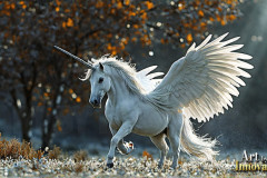 Unicorns, the Myth the Legend, the Fantasy Flying Horse.