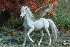Unicorns, the Myth the Legend, the Fantasy Flying Horse.