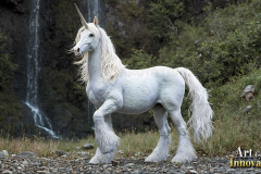 Unicorns, the Myth the Legend, the Fantasy Flying Horse.