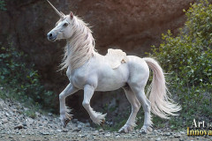 Unicorns, the Myth the Legend, the Fantasy Flying Horse.