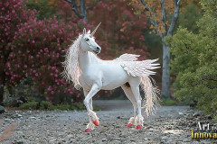 Unicorns, the Myth the Legend, the Fantasy Flying Horse.