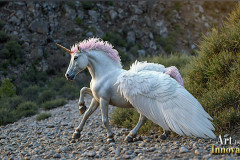 Unicorns, the Myth the Legend, the Fantasy Flying Horse.