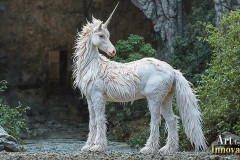 Unicorns, the Myth the Legend, the Fantasy Flying Horse.