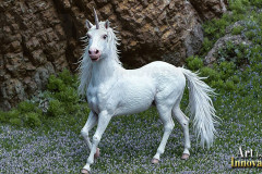 Unicorns, the Myth the Legend, the Fantasy Flying Horse.