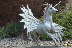 Unicorns, the Myth the Legend, the Fantasy Flying Horse.