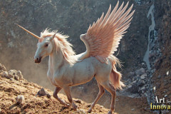 Unicorns,the Myth the Legend,the Fantasy Flying Horse.