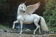 Unicorns,the Myth the Legend,the Fantasy Flying Horse.