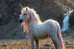 Unicorns,the Myth the Legend,the Fantasy Flying Horse.