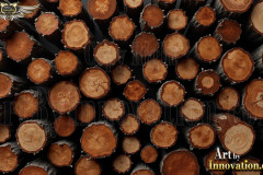 Beautiful Wood Graphic Textures Designs