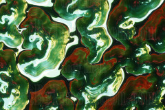 Green & Gold Artistic Graphic Textures Designs