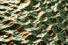 Green & Gold Artistic Graphic Textures Designs