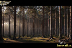 Natural Forests Graphic Textures Designs