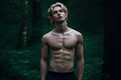 Handsome Male Elves