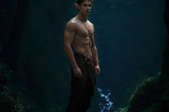 Handsome Male Elves
