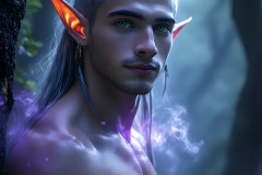 Handsome Male Elves