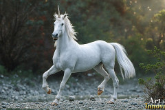 Unicorns, the Myth the Legend, the Fantasy Flying Horse.
