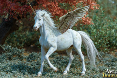 Unicorns, the Myth the Legend, the Fantasy Flying Horse.