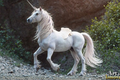 Unicorns, the Myth the Legend, the Fantasy Flying Horse.