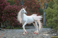 Unicorns, the Myth the Legend, the Fantasy Flying Horse.