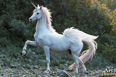 Unicorns, the Myth the Legend, the Fantasy Flying Horse.