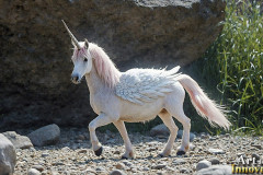 Unicorns, the Myth the Legend, the Fantasy Flying Horse.