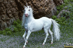 Unicorns, the Myth the Legend, the Fantasy Flying Horse.