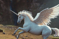 Unicorns,the Myth the Legend,the Fantasy Flying Horse.
