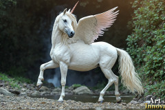 Unicorns,the Myth the Legend,the Fantasy Flying Horse.