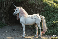 Unicorns,the Myth the Legend,the Fantasy Flying Horse.