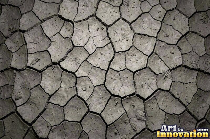 Soil and Mud Textures – Dry, Wet and Forest