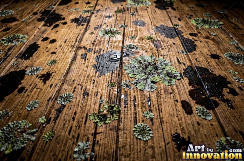 Weathered Wood Textures – Barn Wood, Driftwood