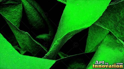Curving green paper folds overlapping against black shadows