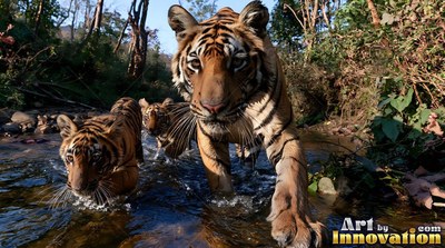 In a sunlit forest stream, a tiger and two small cubs wade forward through shallow water