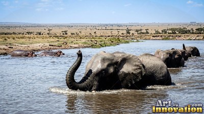 An elephant swimming in a river with its trunk raised