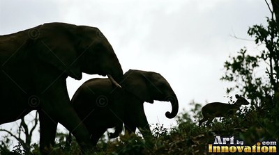 Against a pale sky, dark elephants and a small deer walk up a grassy hill