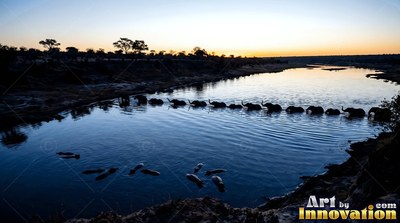 Elephants wade across a wide river under a pale orange sunset sky