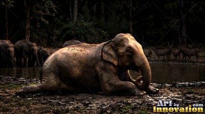 Wallowing in wet mud, a brown elephant rests by dark forest water