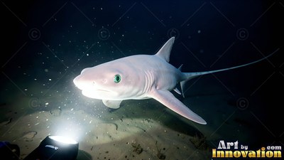 A pale shark swims near the sandy bottom under a bright beam of white light