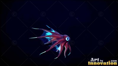 A small red octopus swims through deep water with light blue webbing between its arms