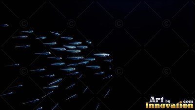 A school of small shiny silver fish swims through black water